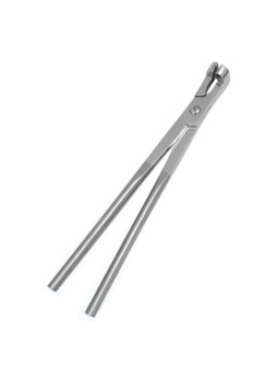 Reinhard Tooth Forceps (SS)